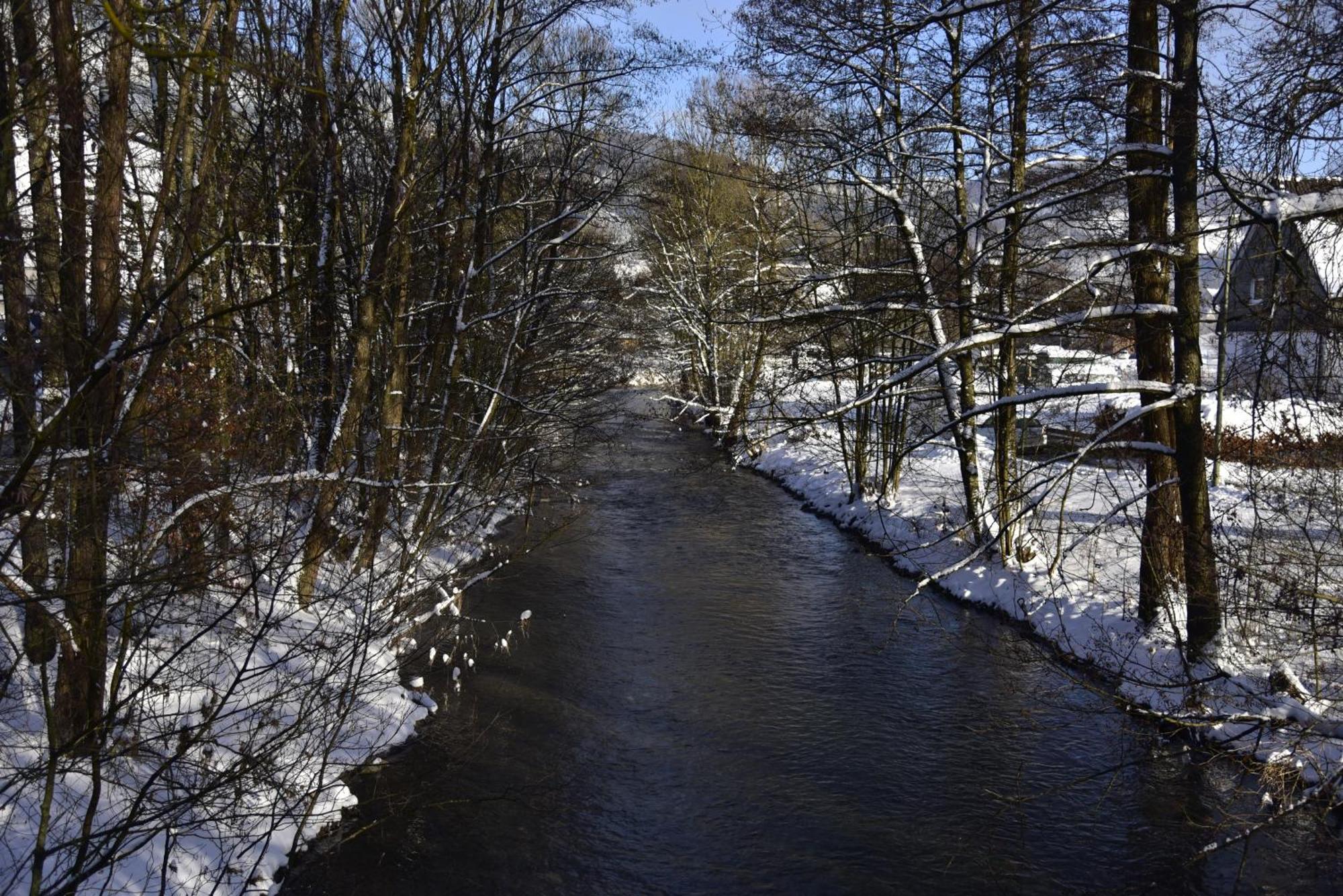 Ferienwohnung Vogelsang Lennestadt Bagian luar foto